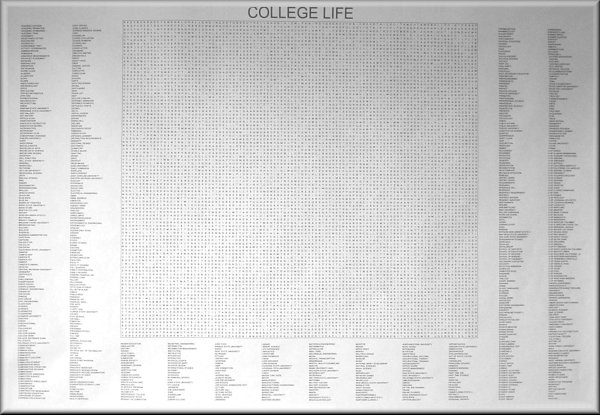 800 term college life word search poster